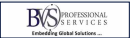 BVS Professional Partner